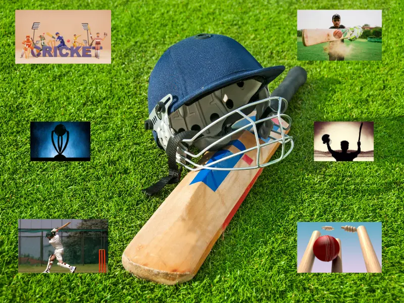 Fantasy Sports gaming platform featuring live match statistics, virtual team selection, player rankings, real-time score updates, and an engaging online sports competition interface.